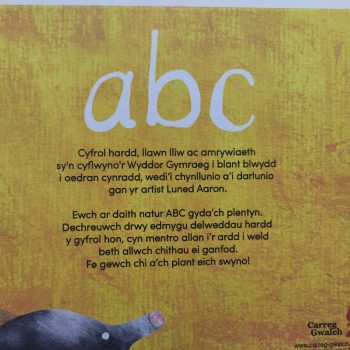 IMG 20210209 113617 scaled e1612887796349